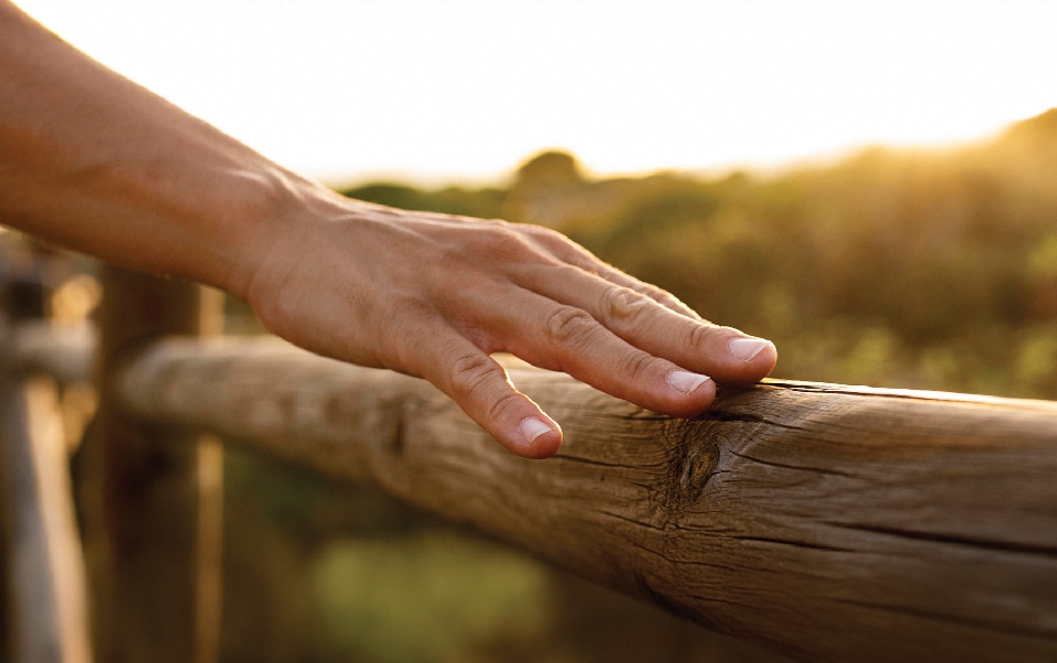 A hand on a wooden fence post